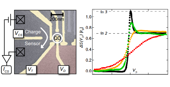 How to measure the entropy of a quantum device?